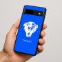 כיסוי בעיצוב אישי עם השם שלך לדגם - Google Pixel 7a 5G בעיצוב פני פנטרה