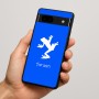 כיסוי בעיצוב אישי עם השם שלך לדגם - Google Pixel 7a 5G בעיצוב צפרדע טרופית