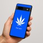 כיסוי בעיצוב אישי עם השם שלך לדגם - Google Pixel 7a 5G בעיצוב עלה מריחואנה - גראס