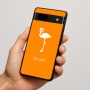 כיסוי בעיצוב אישי עם השם שלך לדגם - Google Pixel 7a 5G בעיצוב אנפה