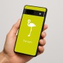 כיסוי בעיצוב אישי עם השם שלך לדגם - Google Pixel 7a 5G בעיצוב אנפה