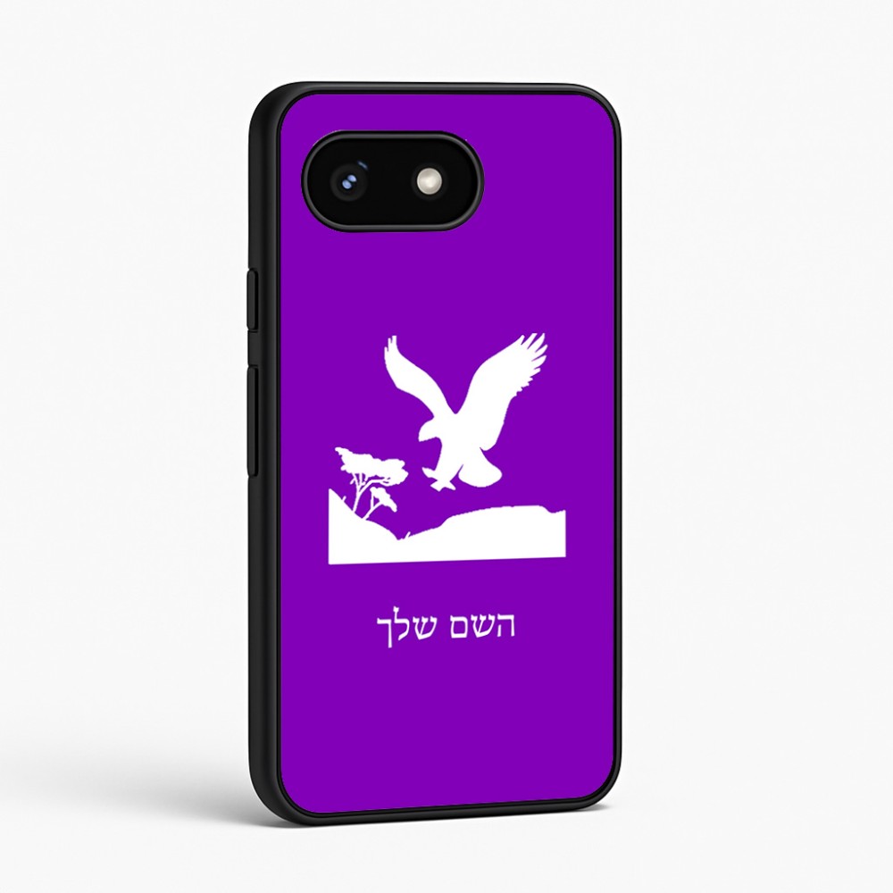 כיסוי בעיצוב אישי עם השם שלך לדגם - Google Pixel 8 5G בעיצוב נשר אמריקאי