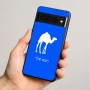 כיסוי בעיצוב אישי עם השם שלך לדגם - Google Pixel 8 Pro 5G בעיצוב גמל