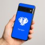 כיסוי בעיצוב אישי עם השם שלך לדגם - Google Pixel 8 Pro 5G בעיצוב ראש פיל
