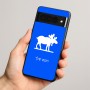 כיסוי בעיצוב אישי עם השם שלך לדגם - Google Pixel 8 Pro 5G בעיצוב דישון