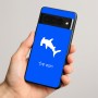 כיסוי בעיצוב אישי עם השם שלך לדגם - Google Pixel 8 Pro 5G בעיצוב כריש ראש פטיש