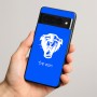 כיסוי בעיצוב אישי עם השם שלך לדגם - Google Pixel 8 Pro 5G בעיצוב פני פנטרה