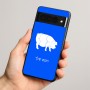 כיסוי בעיצוב אישי עם השם שלך לדגם - Google Pixel 8 Pro 5G בעיצוב חזיר
