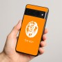 כיסוי בעיצוב אישי עם השם שלך לדגם - Google Pixel 8 Pro 5G בעיצוב פני אריה