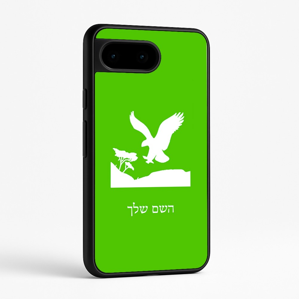 כיסוי בעיצוב אישי עם השם שלך לדגם - Google Pixel 9 5G בעיצוב נשר אמריקאי