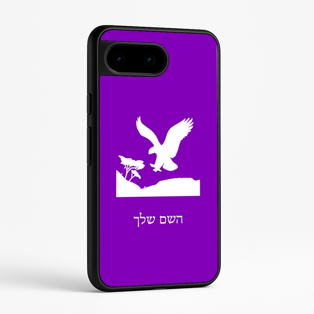 כיסוי בעיצוב אישי עם השם שלך לדגם - Google Pixel 9 5G בעיצוב נשר אמריקאי