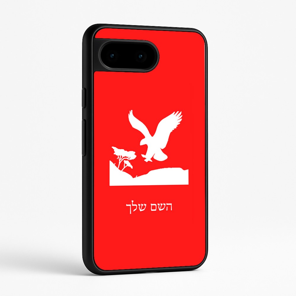 כיסוי בעיצוב אישי עם השם שלך לדגם - Google Pixel 9 5G בעיצוב נשר אמריקאי