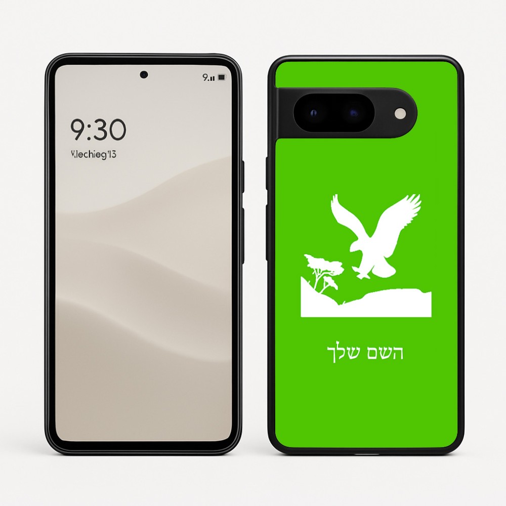 כיסוי בעיצוב אישי עם השם שלך לדגם - Google Pixel 9 5G בעיצוב נשר אמריקאי