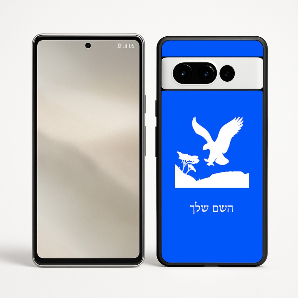 כיסוי בעיצוב אישי עם השם שלך לדגם - Google Pixel 9 Pro 5G בעיצוב נשר אמריקאי