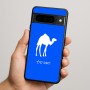 כיסוי בעיצוב אישי עם השם שלך לדגם - Google Pixel 9 Pro 5G בעיצוב גמל