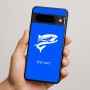 כיסוי בעיצוב אישי עם השם שלך לדגם - Google Pixel 9 Pro 5G בעיצוב לדוג