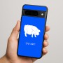 כיסוי בעיצוב אישי עם השם שלך לדגם - Google Pixel 9 Pro 5G בעיצוב חזיר