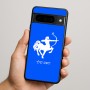 כיסוי בעיצוב אישי עם השם שלך לדגם - Google Pixel 9 Pro 5G בעיצוב מזלות - קשת