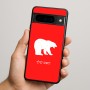 כיסוי בעיצוב אישי עם השם שלך לדגם - Google Pixel 9 Pro 5G בעיצוב דוב