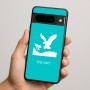 כיסוי בעיצוב אישי עם השם שלך לדגם - Google Pixel 9 Pro 5G בעיצוב נשר אמריקאי