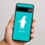 כיסוי בעיצוב אישי עם השם שלך לדגם - Google Pixel 9 Pro 5G בעיצוב פינגווין