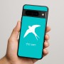 כיסוי בעיצוב אישי עם השם שלך לדגם - Google Pixel 9 Pro 5G בעיצוב לבלוע
