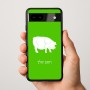 כיסוי בעיצוב אישי עם השם שלך לדגם - Google Pixel 9a 5G בעיצוב חזיר