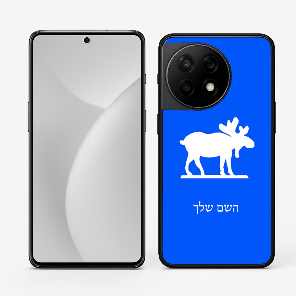 כיסוי בעיצוב אישי עם השם שלך לדגם - OnePlus 11R בעיצוב דישון