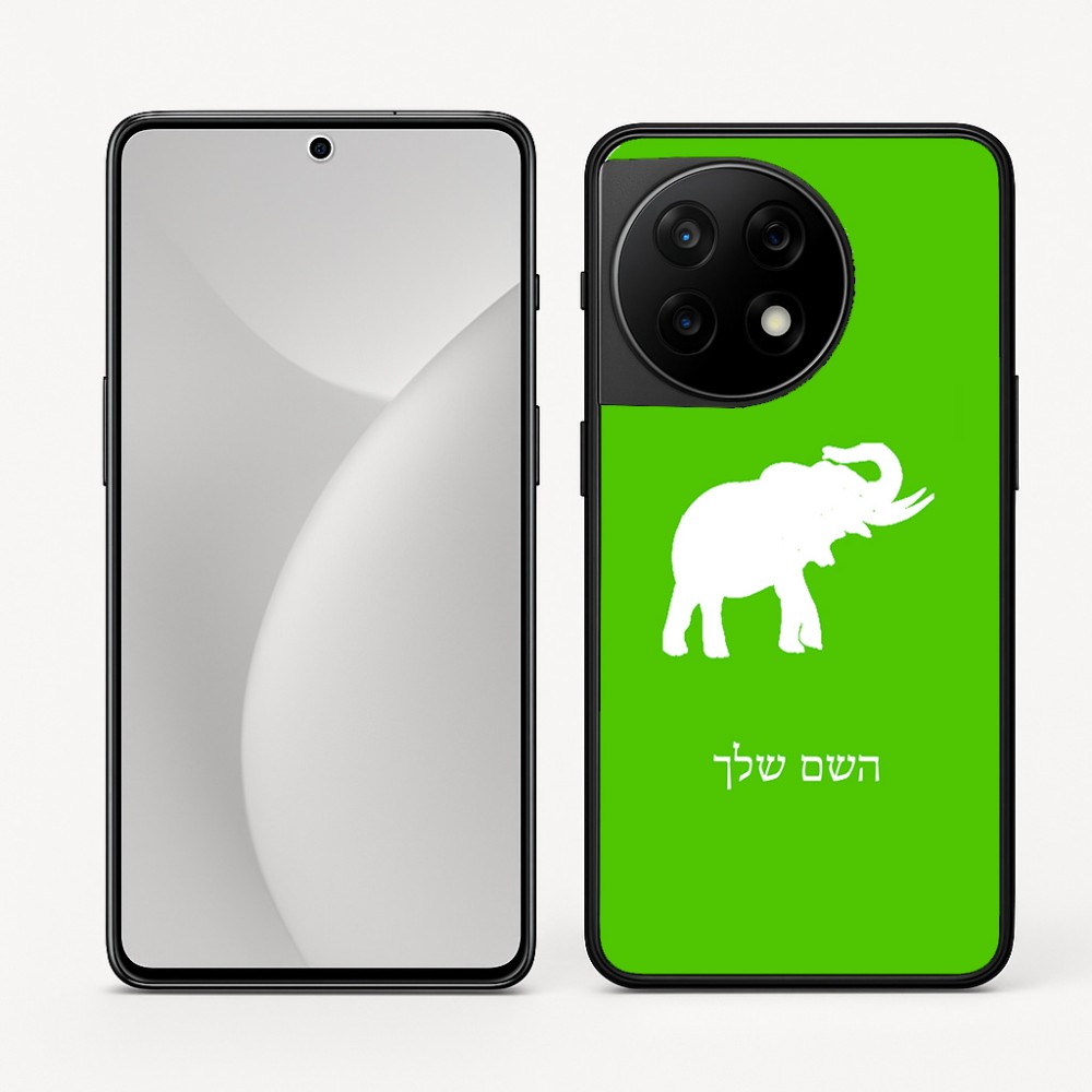 כיסוי בעיצוב אישי עם השם שלך לדגם - OnePlus 11R בעיצוב פיל